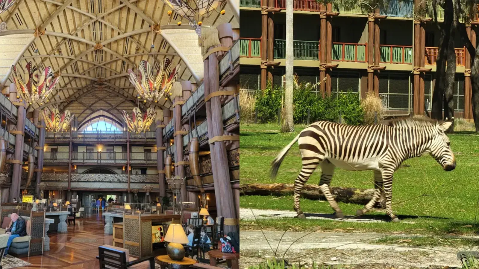 Disney’s Animal Kingdom Lodge Disney’s Animal Kingdom Lodge