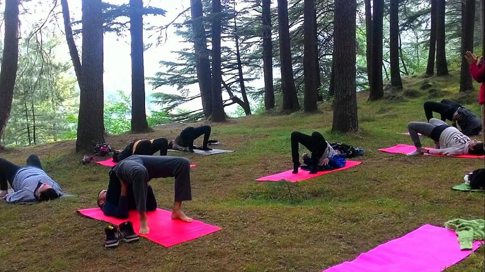 MCleod Ganj Wellness retreat MCleod Ganj Wellness retreat