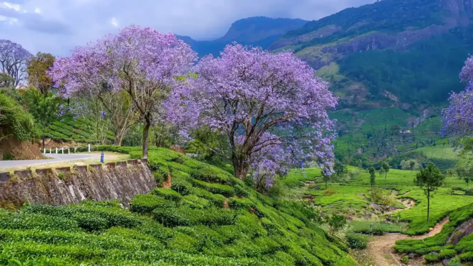 Munnar Munnar