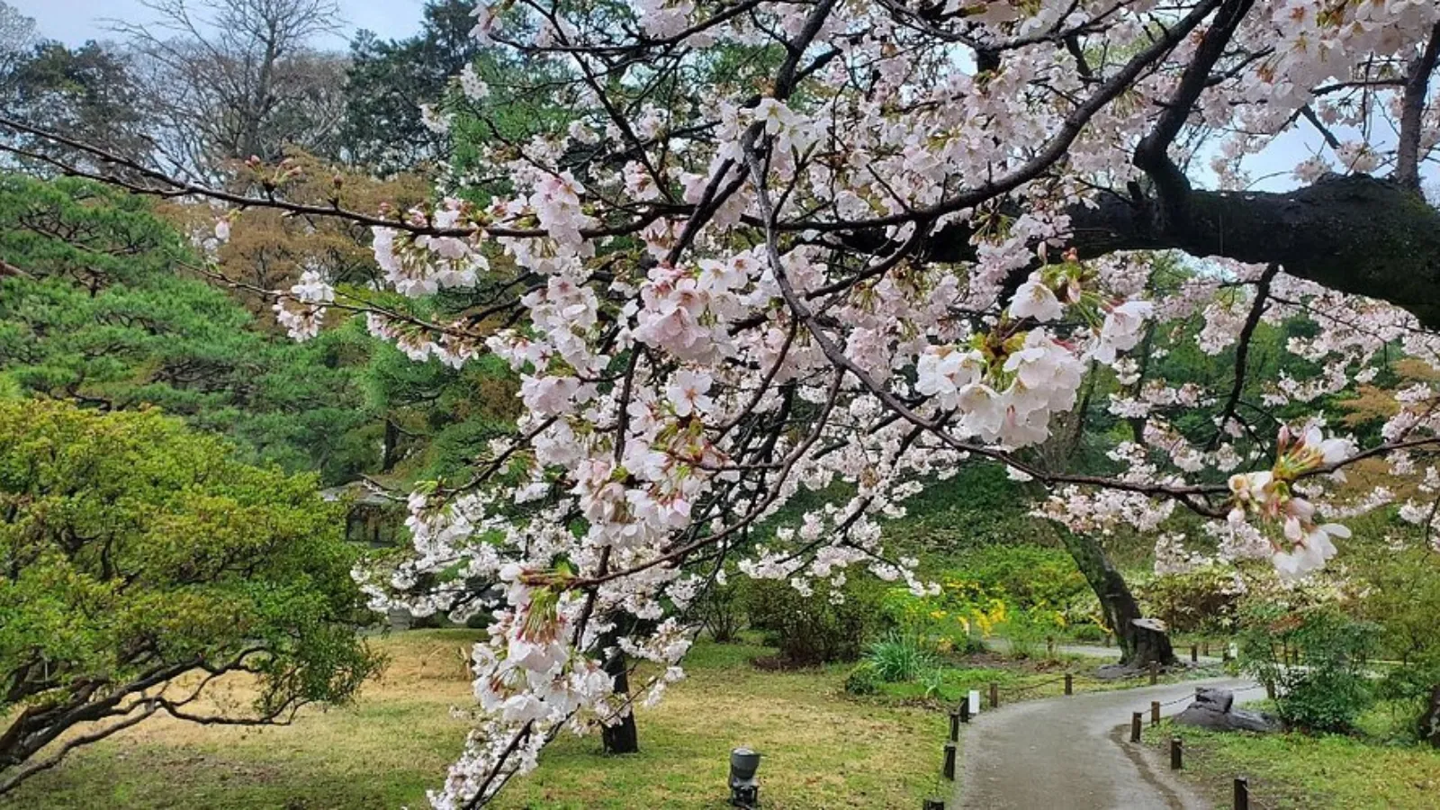 Rikugien Gardens