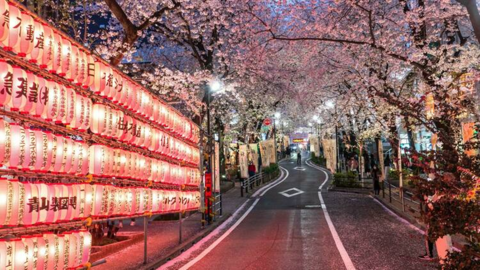 Ueno Sakura Matsuri​