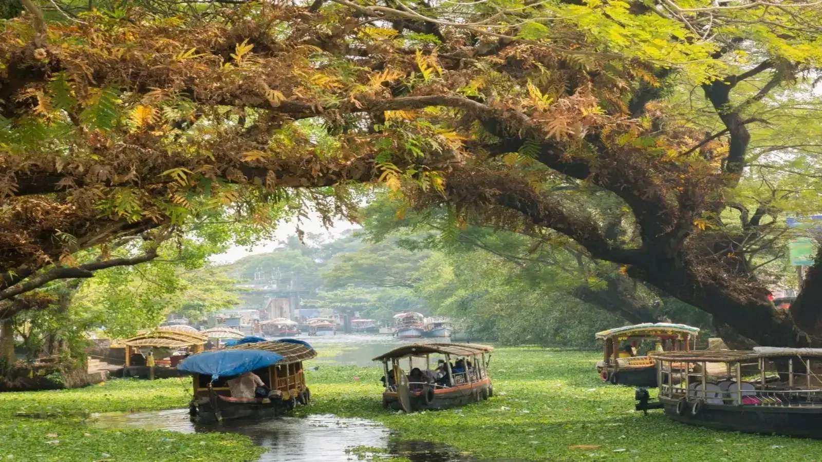 Weekend getaways vs. long vacations Weekend getaways vs. long vacations