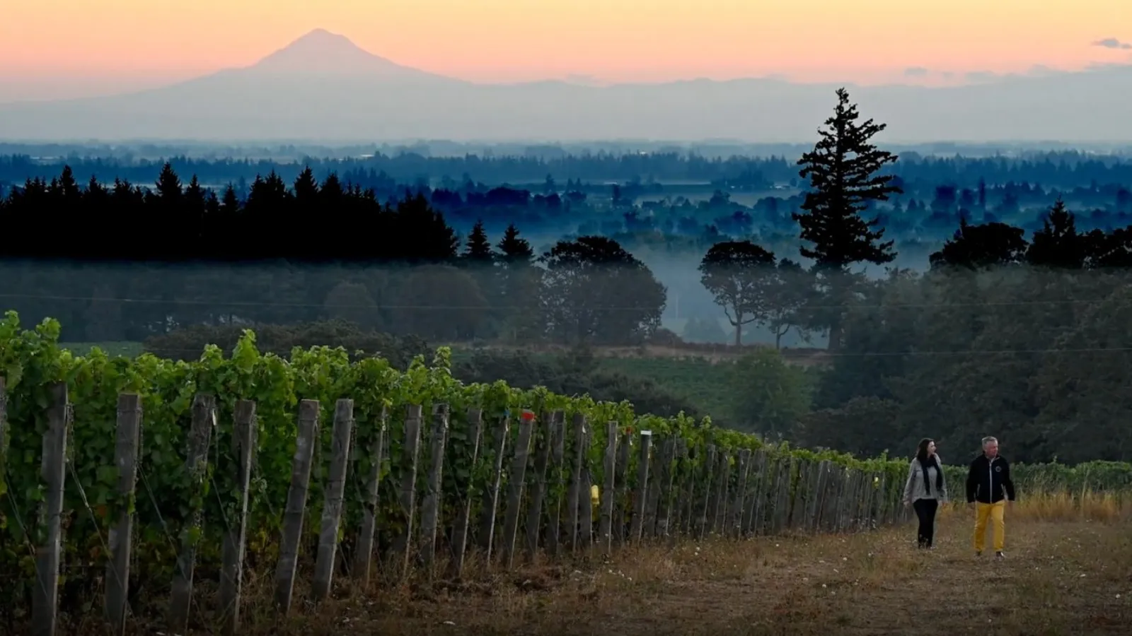 Willamette Valley Willamette Valley