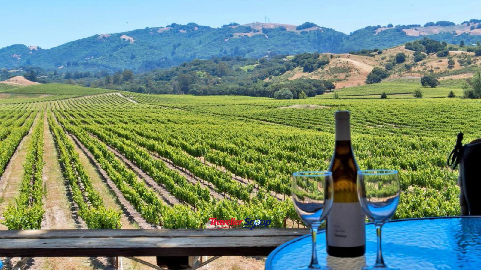 Sonoma County Sonoma County