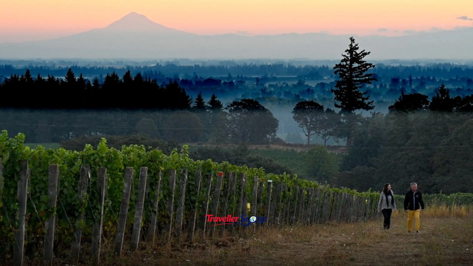Willamette Valley Willamette Valley
