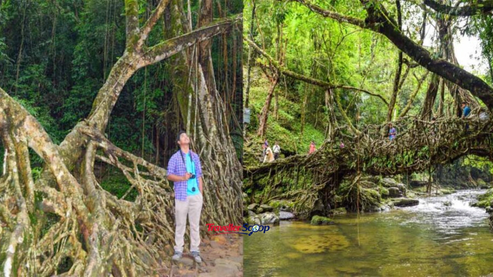Meghalaya Meghalaya