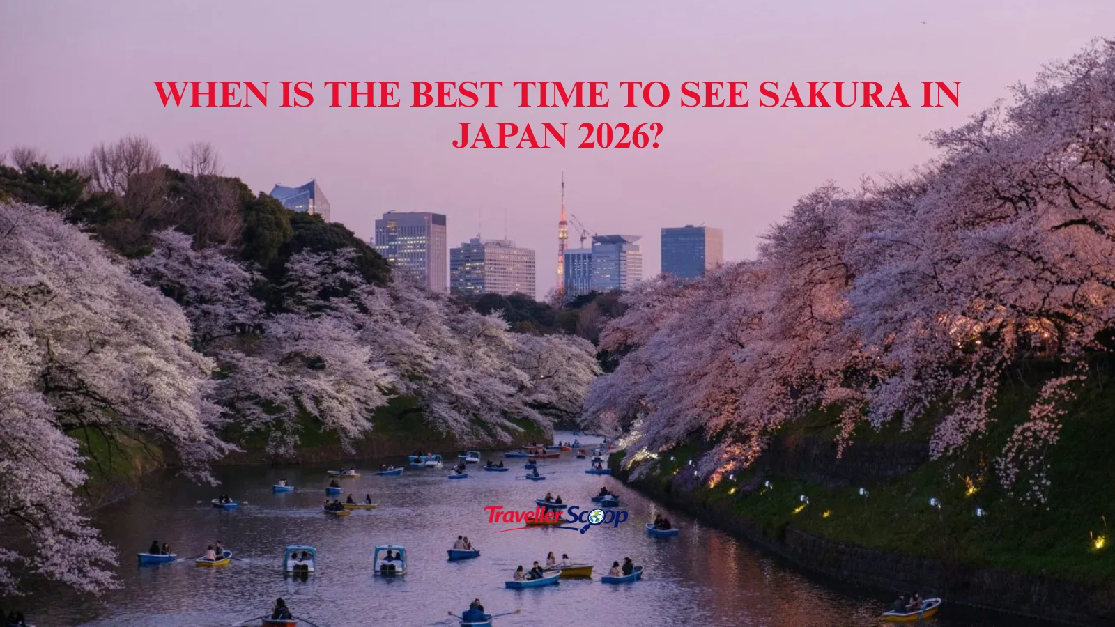 When is the Best Time to See Sakura in Japan 2026?