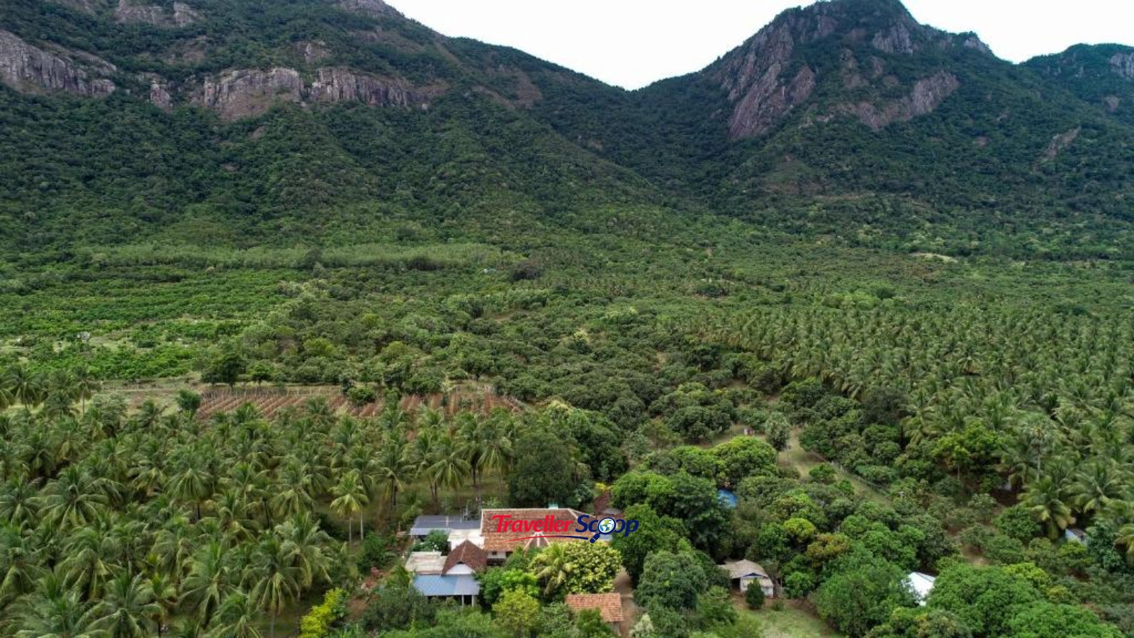 Pannadikadu Homestay