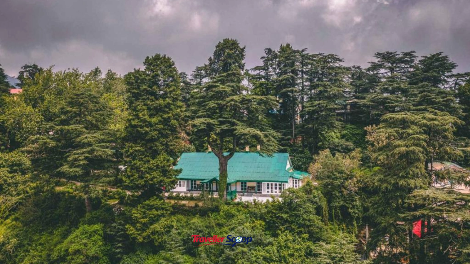 Jungle House