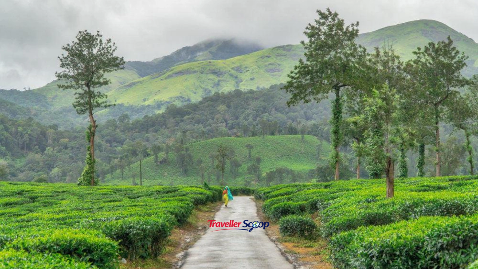 Wayanad Romantic Paradise Wayanad Romantic Paradise