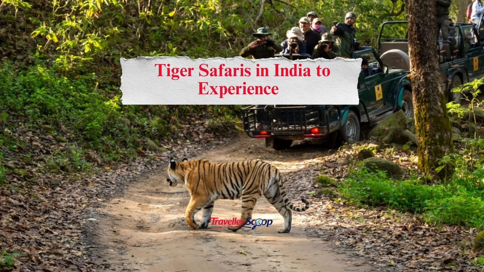 5 Thrilling Tiger Safaris in India to Experience Before the Parks Shut for Monsoon