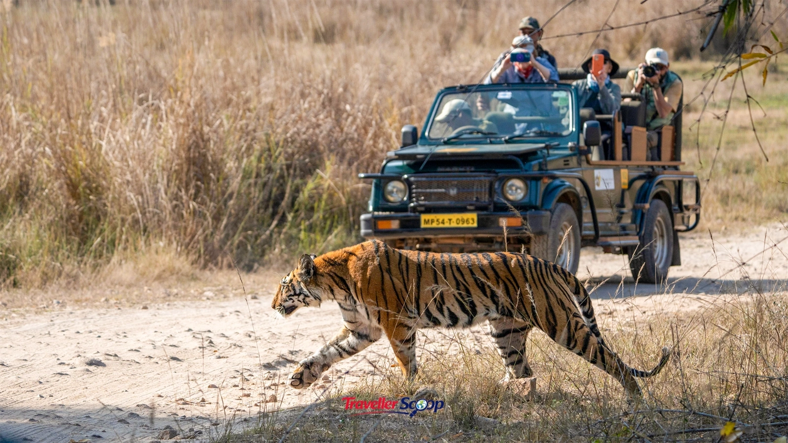 Tourists on a jeep safari for tiger safaris in India at Bandhavgarh Tourists on a jeep safari for tiger safaris in India at Bandhavgarh