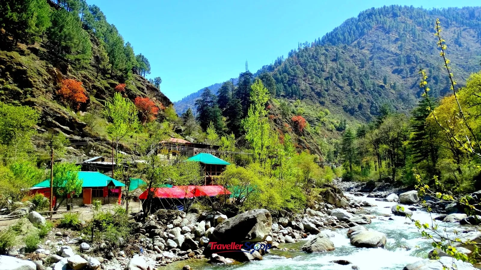Tirthan river flowing through dense forest Tirthan river flowing through dense forest
