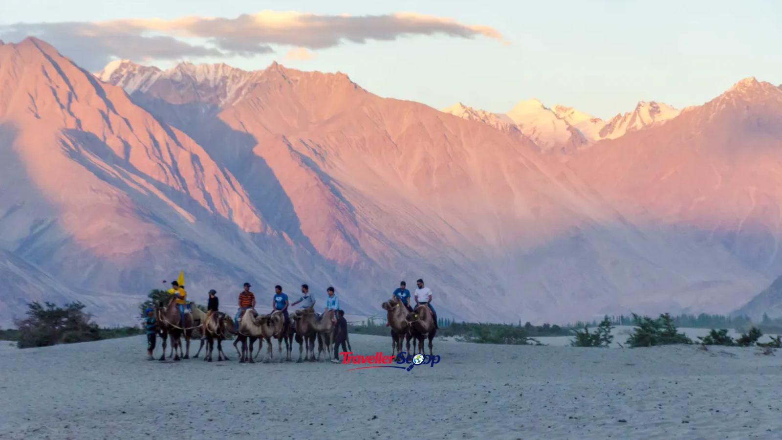 Nubra Valley in Leh Ladakh in June with Bactrian camels Nubra Valley in Leh Ladakh in June with Bactrian camels