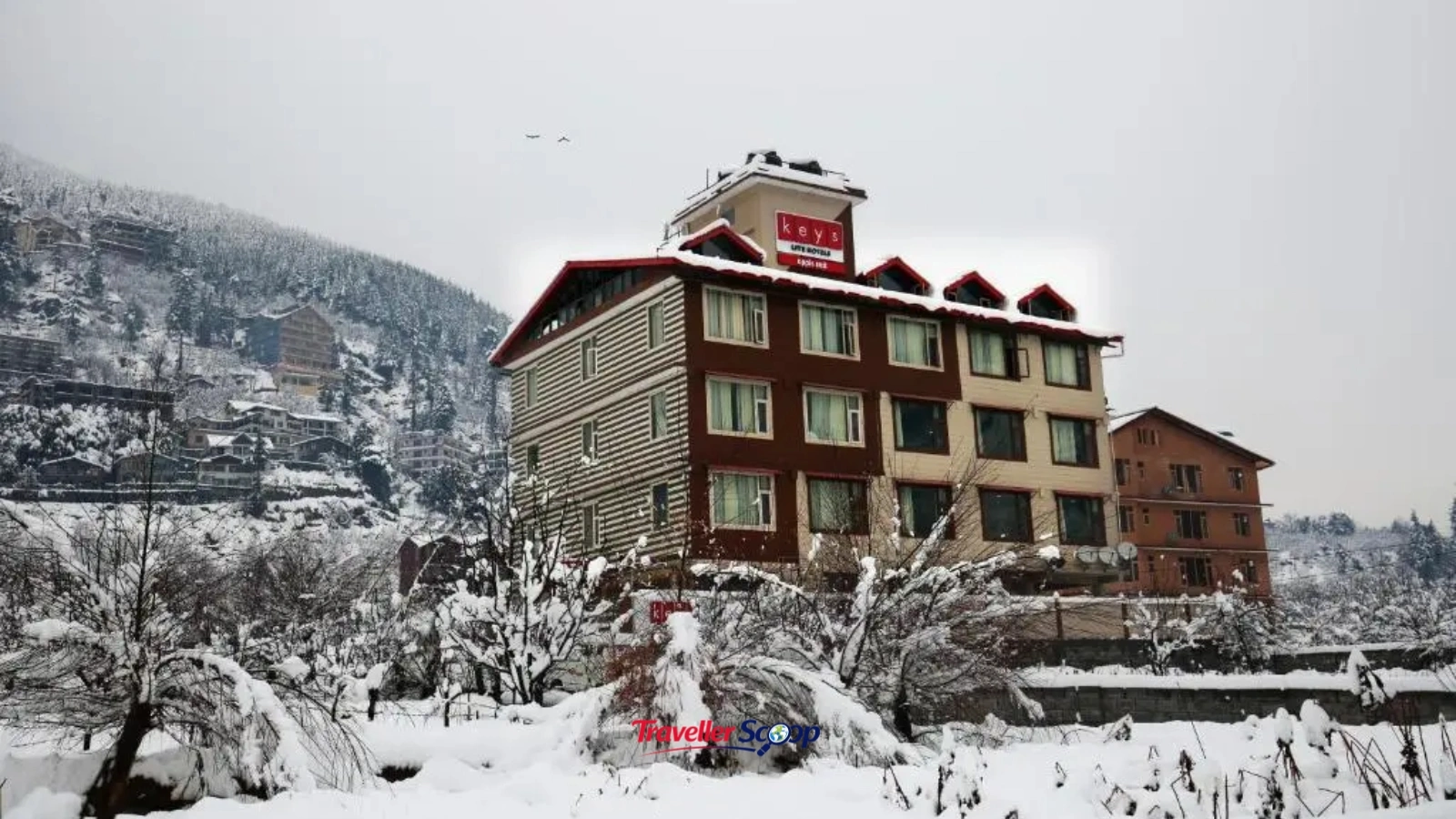 Tourist Nest Old Manali budget hotel Tourist Nest Old Manali budget hotel