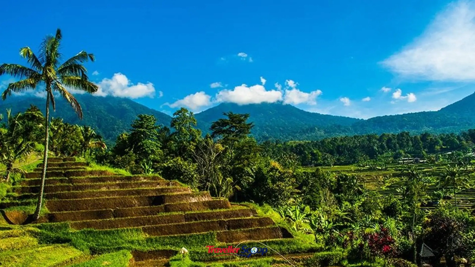 Bali rice terraces Indonesia — budget international trip from India Bali rice terraces Indonesia — budget international trip from India