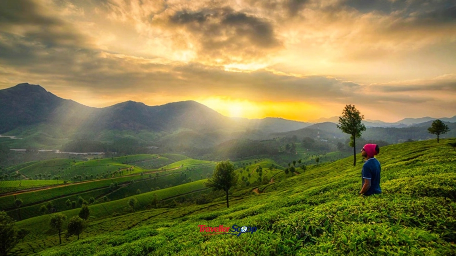 Misty morning weather in Munnar tea gardens vs Ooty Nilgiri hills in winter Misty morning weather in Munnar tea gardens vs Ooty Nilgiri hills in winter