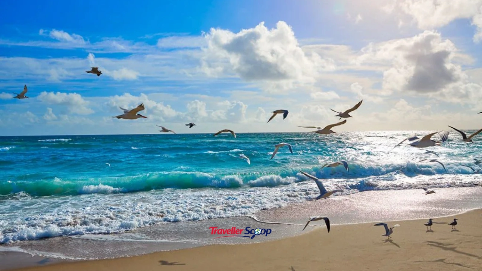 St George Island Florida uncrowded white sand beach with clear blue-green water and dunes St George Island Florida uncrowded white sand beach with clear blue-green water and dunes