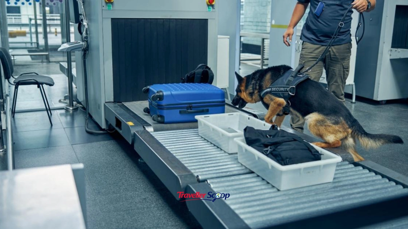 controlled medications Singapore customs banned items in Singapore luggage controlled medications Singapore customs banned items in Singapore luggage