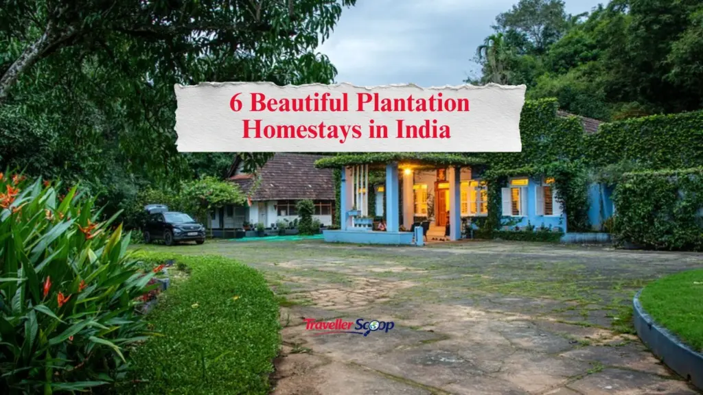 6 Beautiful Plantation Homestays in India for a Peaceful Escape
