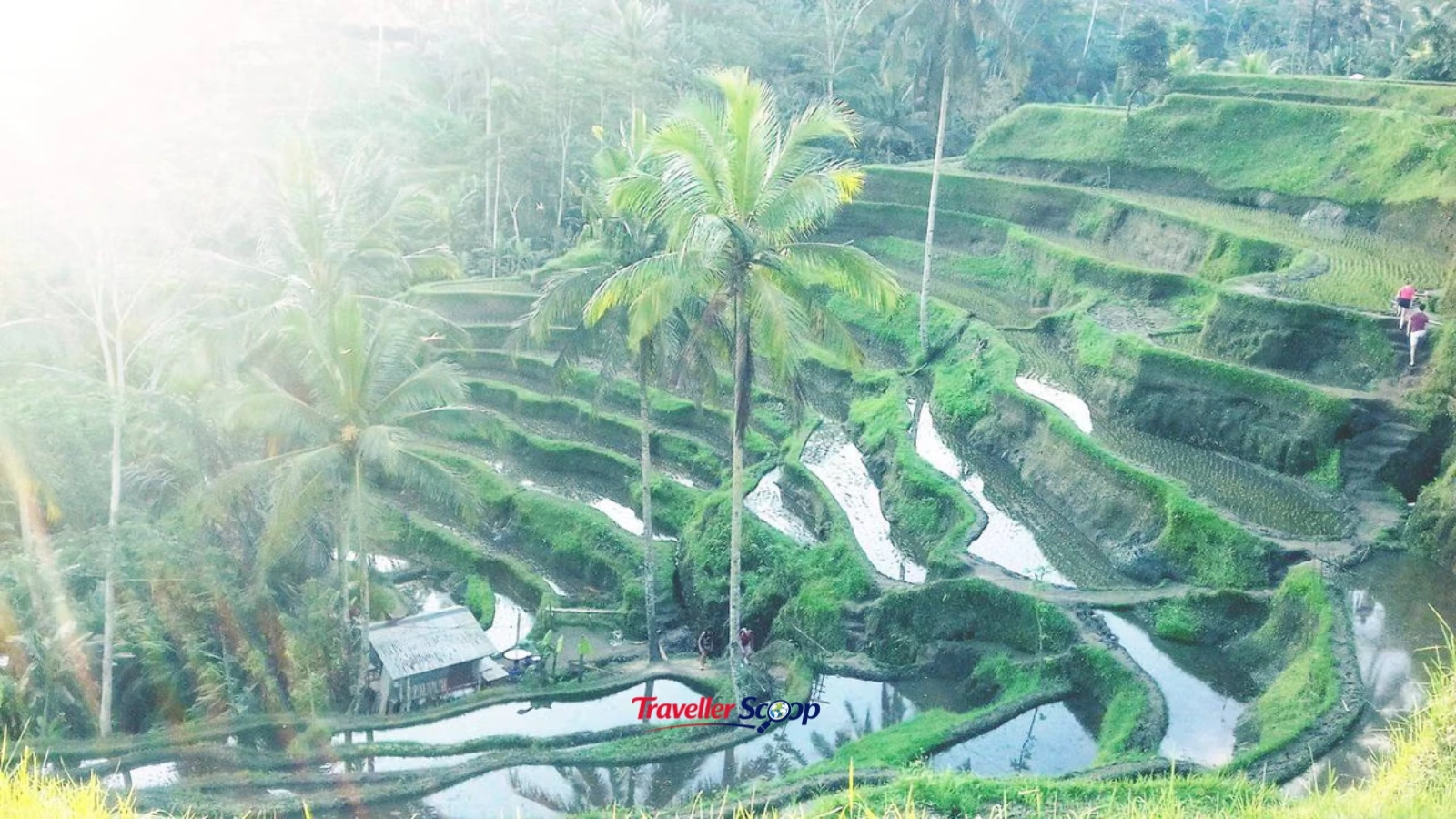 Bali Ubud rice terraces cheapest countries to visit from Mumbai for budget travel Bali Ubud rice terraces cheapest countries to visit from Mumbai for budget travel