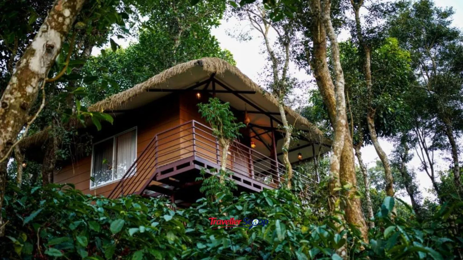 Pepper Trail plantation homestay Wayanad Kerala surrounded by coffee and spice estate Pepper Trail plantation homestay Wayanad Kerala surrounded by coffee and spice estate