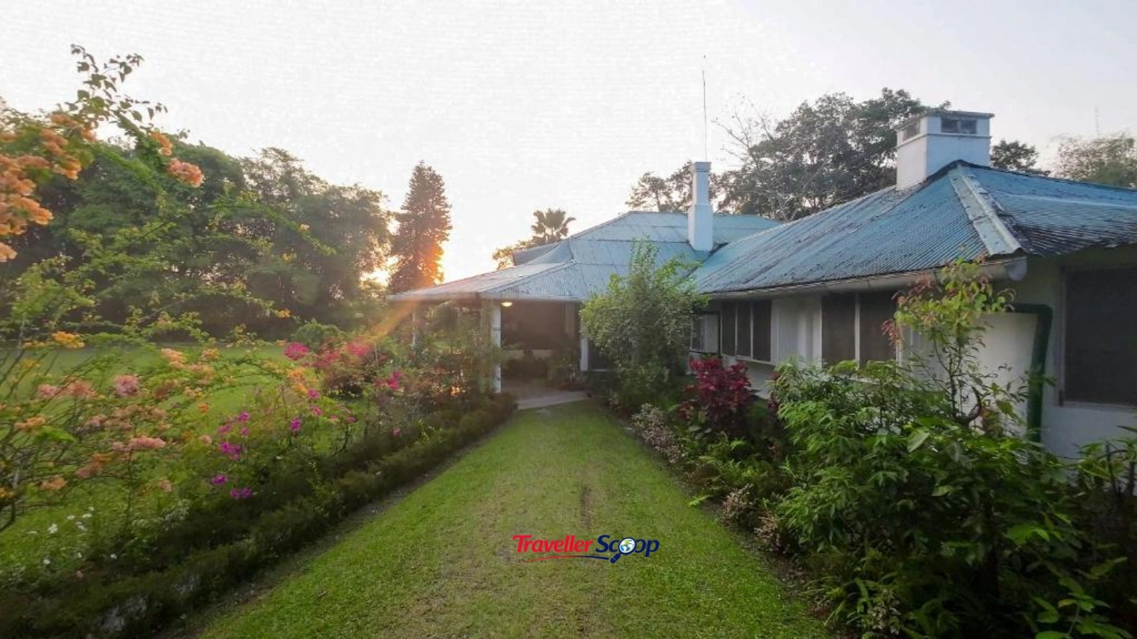 Wild Mahseer Assam plantation homestay colonial bungalow Addabarie tea estate stay Wild Mahseer Assam plantation homestay colonial bungalow Addabarie tea estate stay