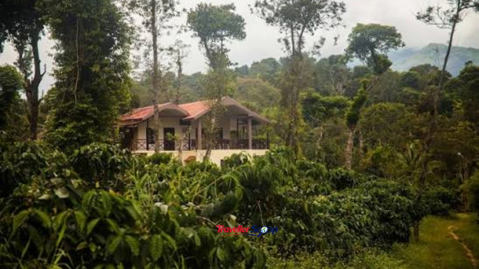 Vaishnavi Estate Coorg Karnataka coffee plantation homestay misty hillside peaceful escape Vaishnavi Estate Coorg Karnataka coffee plantation homestay misty hillside peaceful escape