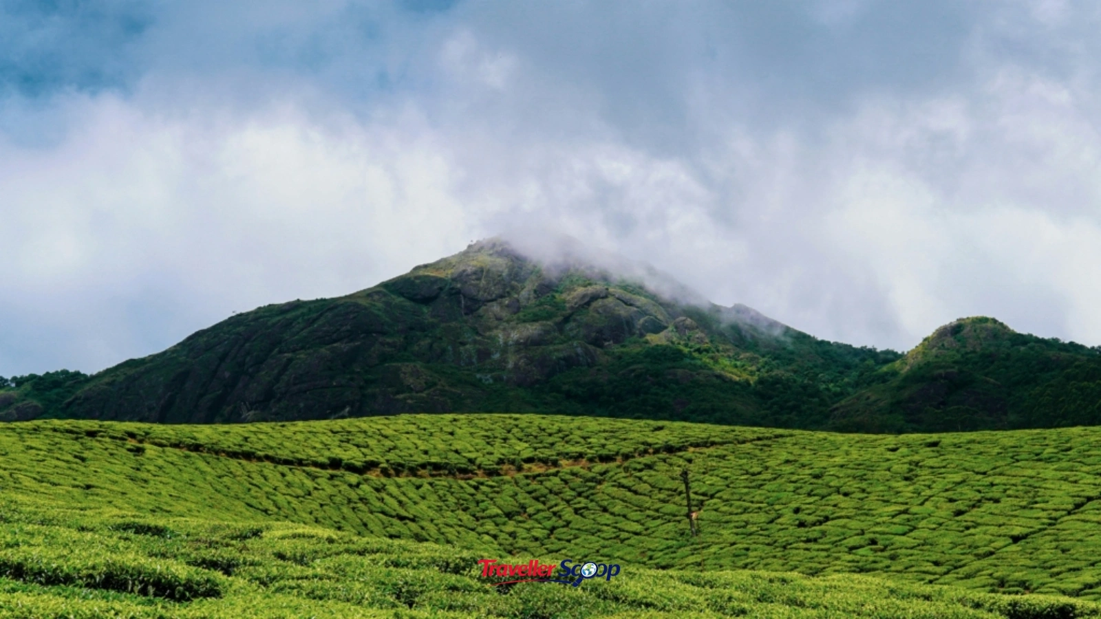Munnar Tea Garden