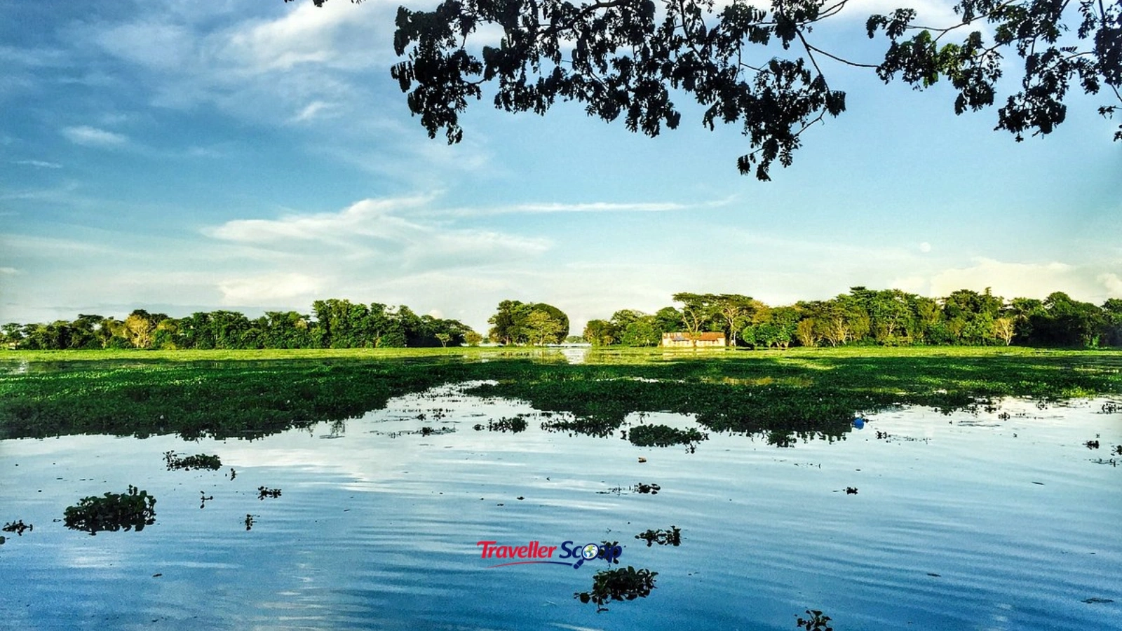 Bangladesh bangladesh