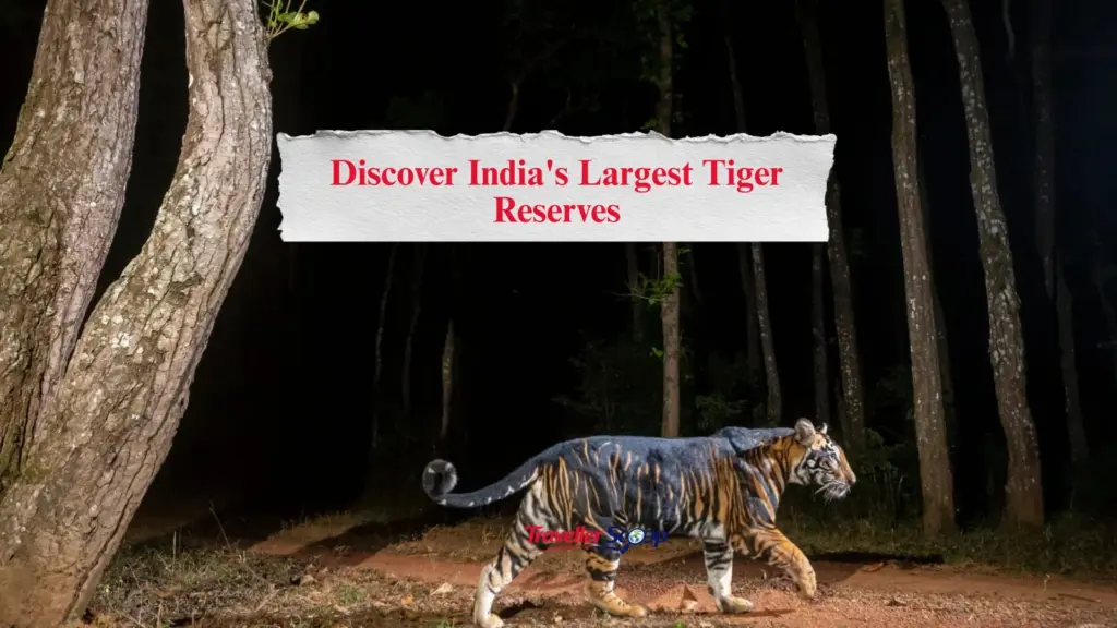 Discover India’s Largest Tiger Reserves That Will Leave Every Nature Lover Amazed in 2026