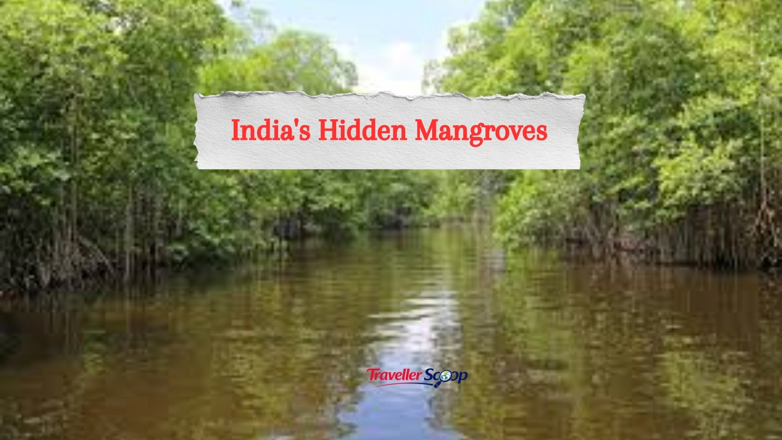 Discover India’s Hidden Mangroves: Breathtaking Places Every Nature Lover Must Explore in 2026