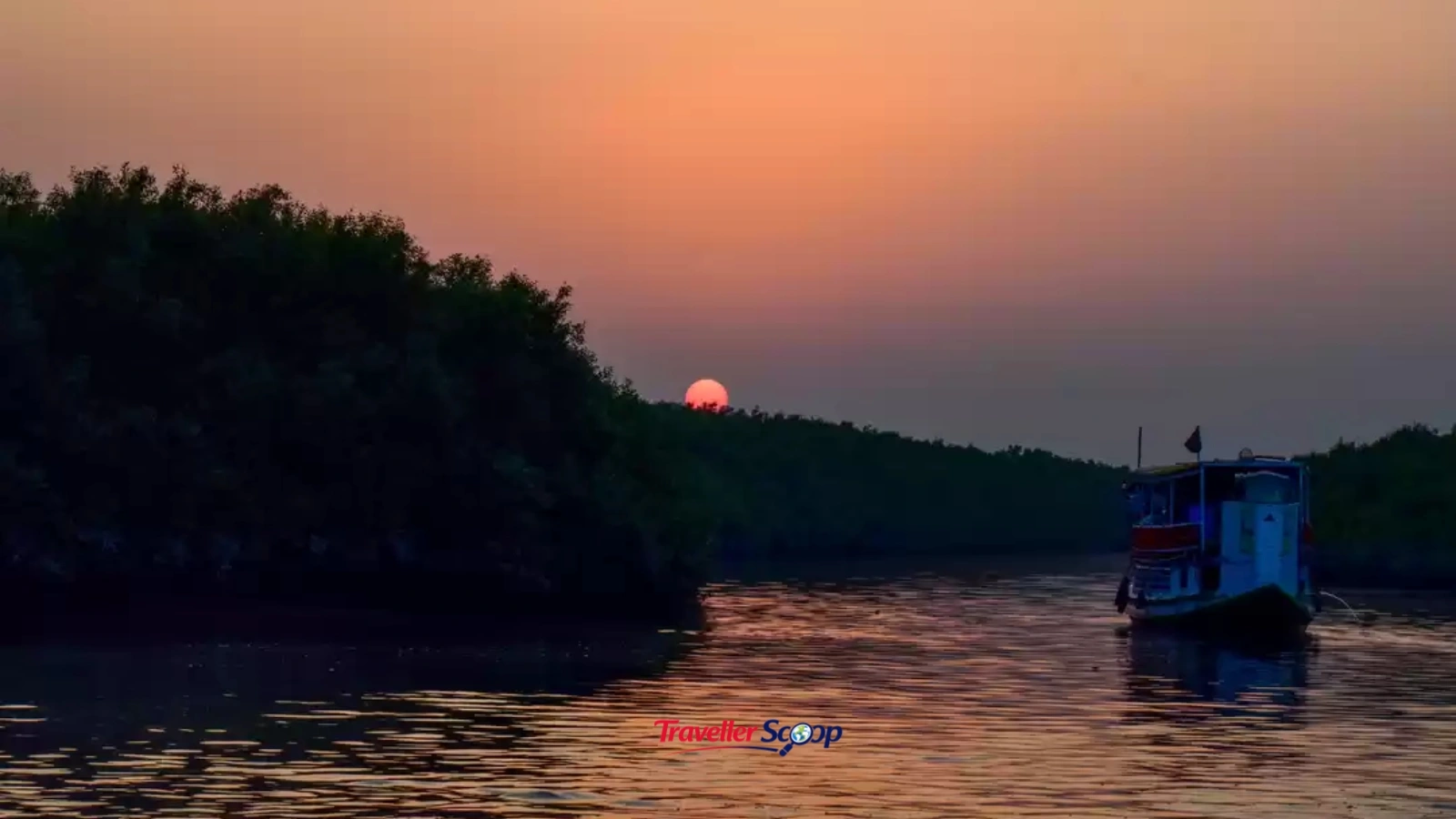 India's Hidden Mangroves boat safari at sunrise
