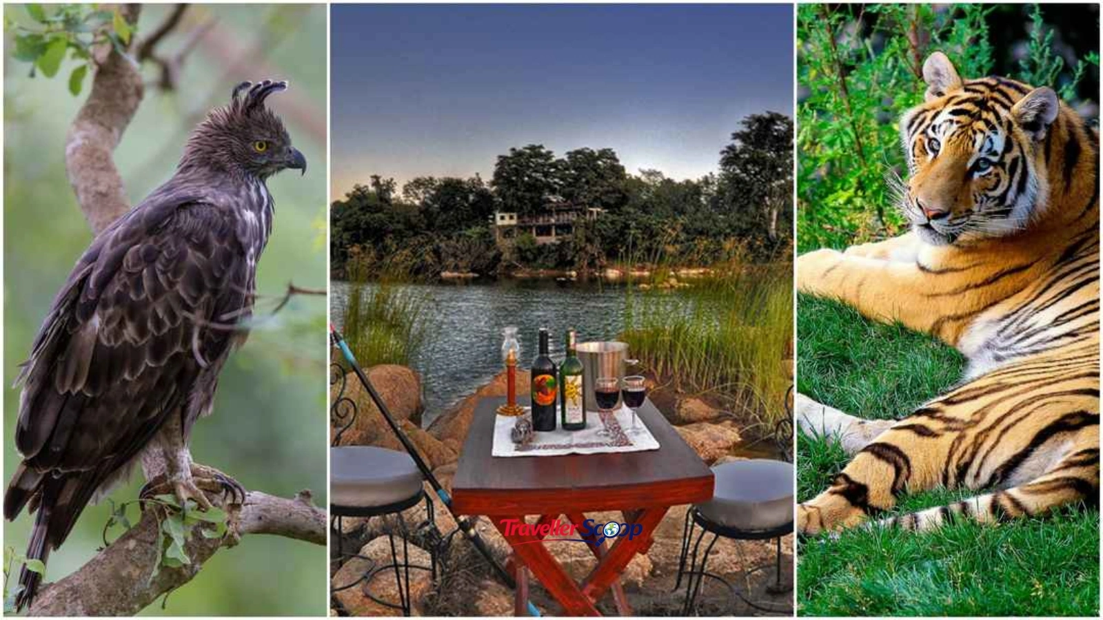 pench national park pench national park