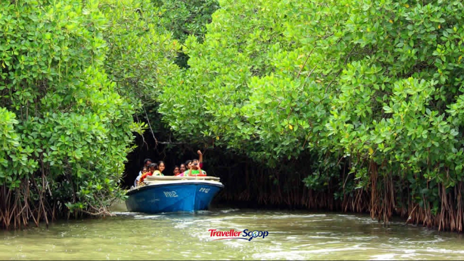 Pichavaram mangrove forest boat ride Tamil Nadu waterways