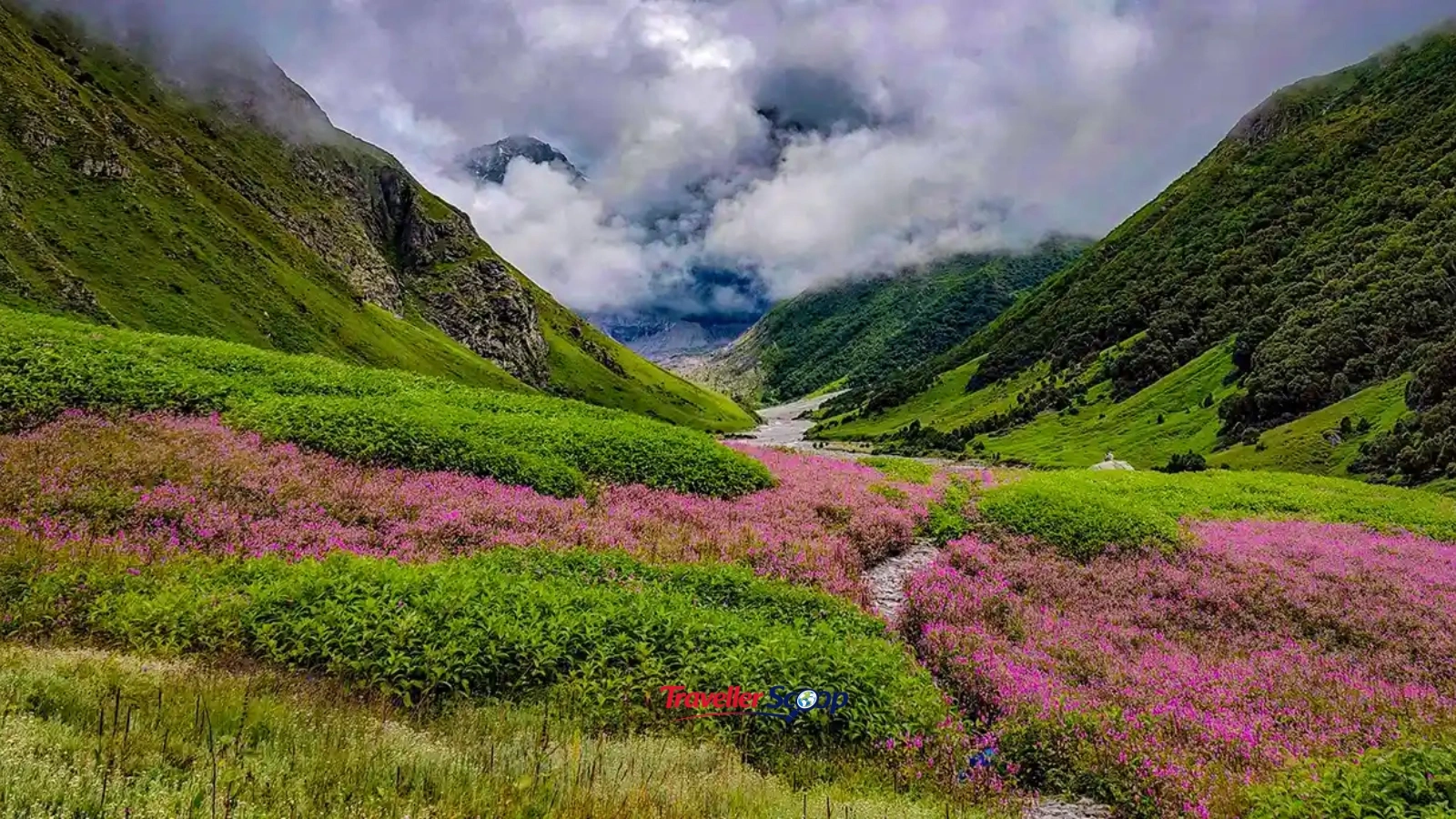 valley of flowers national park valley of flowers national park