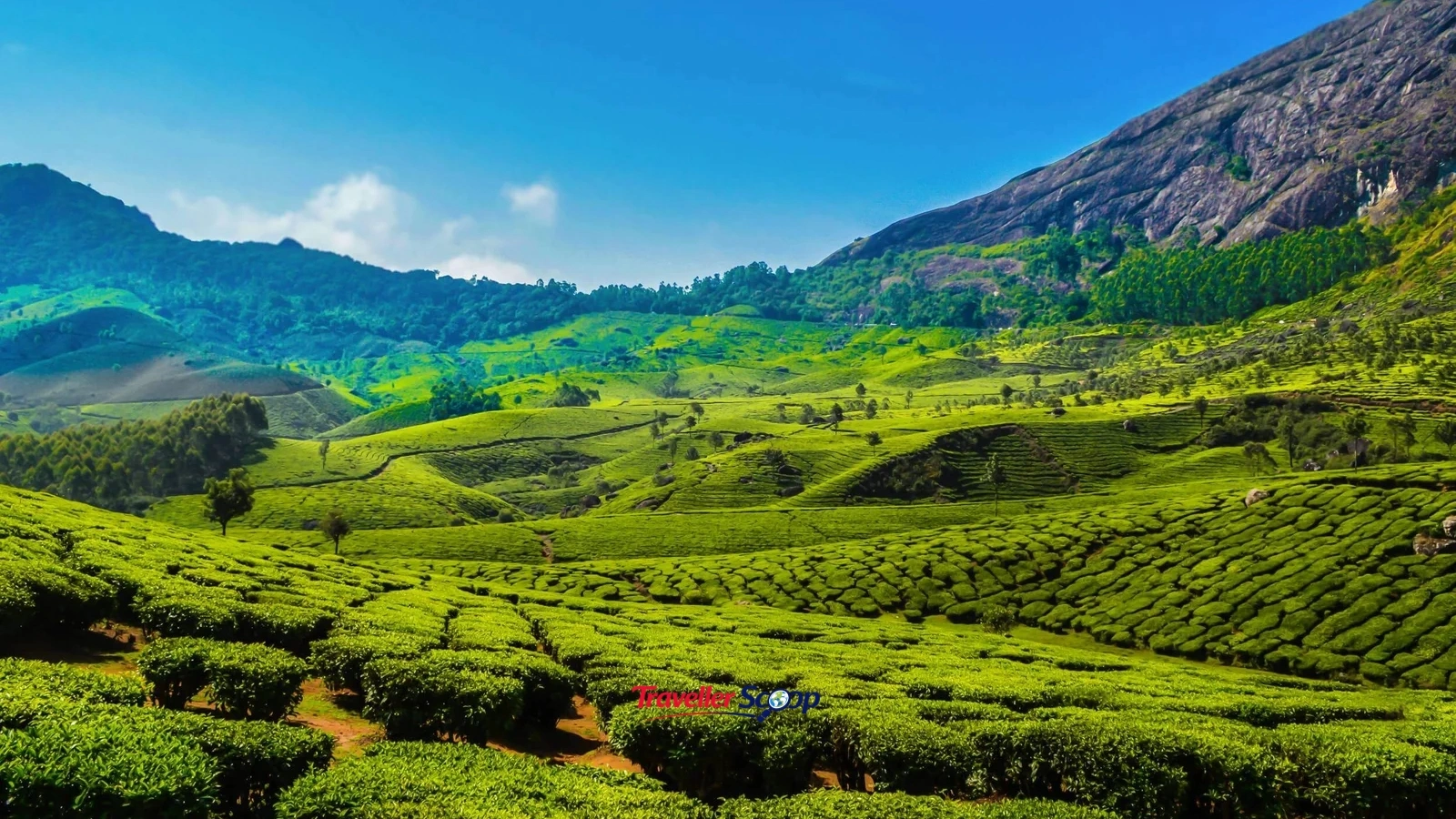 affordable hill stations for students in India Munnar tea estate budget trip affordable hill stations for students in India Munnar tea estate budget trip