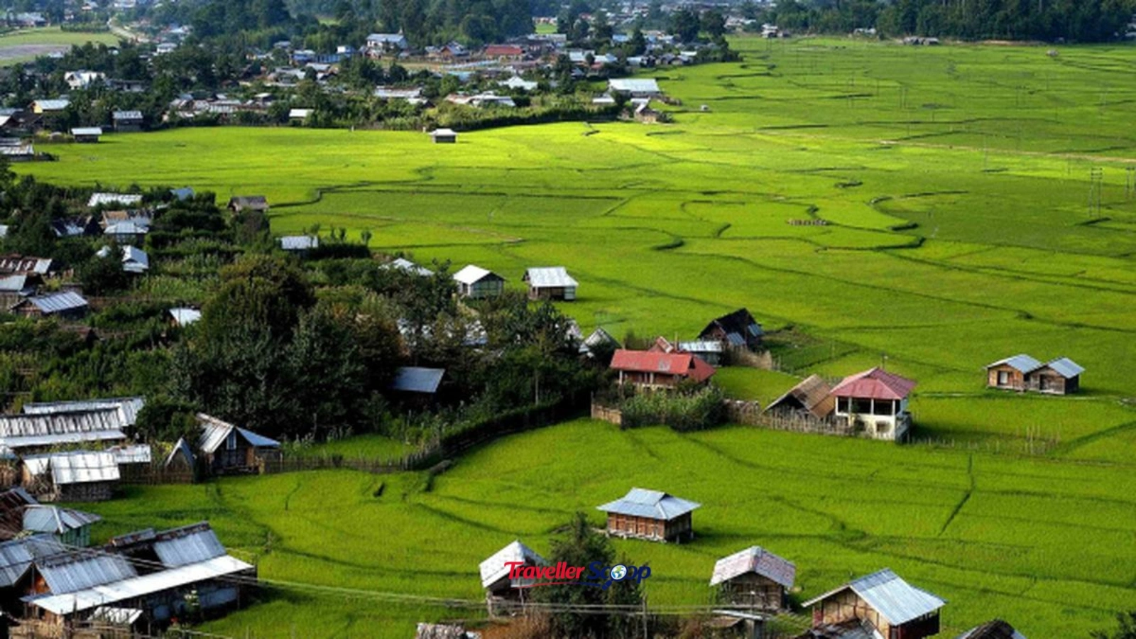 Ziro Valley rice fields and Apatani village during September music festival
