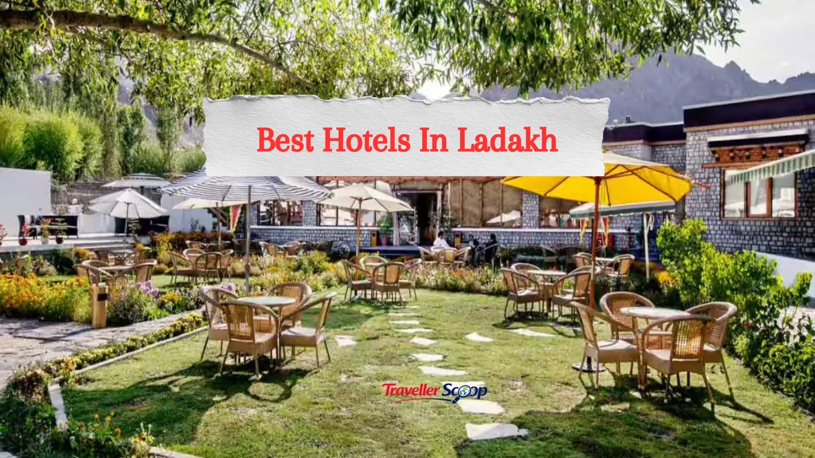 The 5 Best Hotels in Ladakh for an Unforgettable Mountain Escape