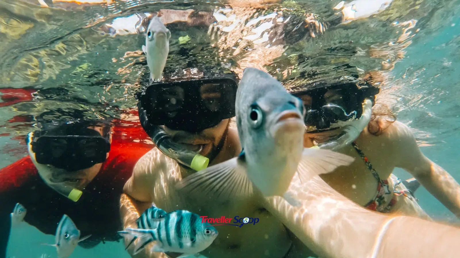 Perhentian Islands Malaysia coral reef snorkeling Perhentian Islands Malaysia coral reef snorkeling