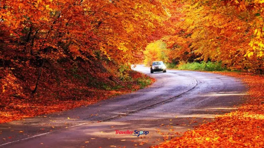 5 Unforgettable Fall Trips in the U.S. That Go Beyond Chasing Colorful Foliage