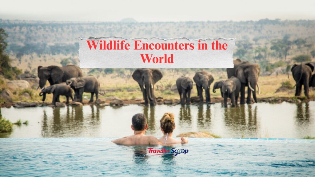 5 Breathtaking Wildlife Encounters in the World: Including One Incredible Experience in India