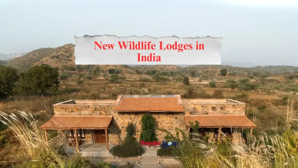 8 Stunning New Wildlife Lodges in India You’ll Love Checking Into Right Now