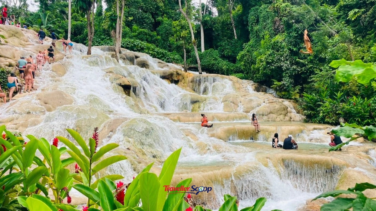 Dunns River Falls Jamaica, visa free Caribbean destination for Indians” Dunns River Falls Jamaica, visa free Caribbean destination for Indians"