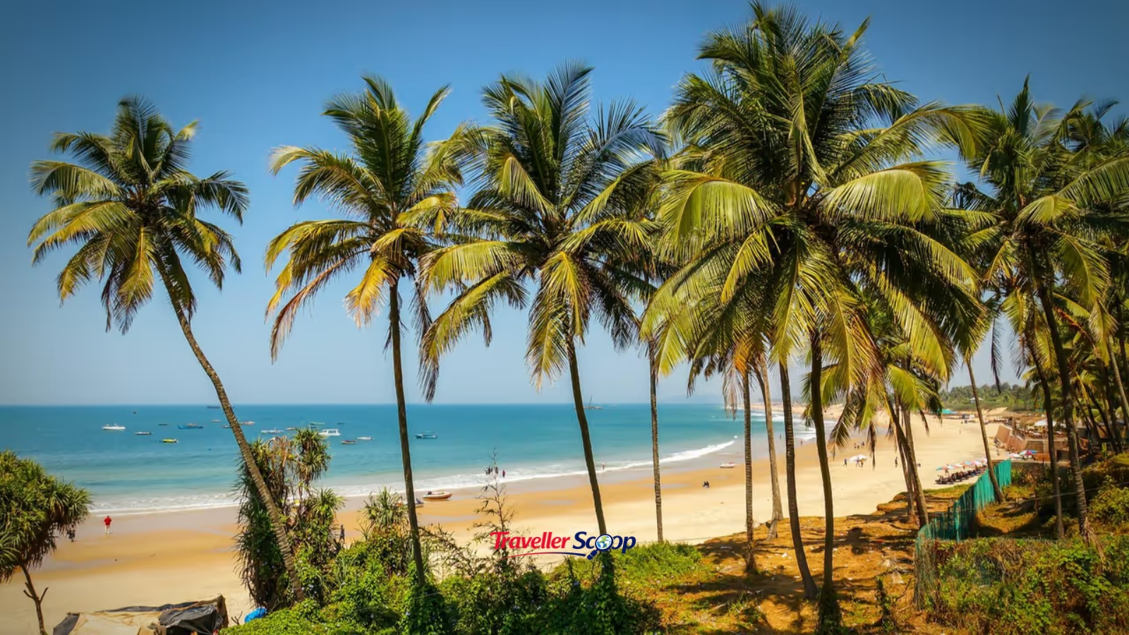 Backwater view near Olaulim village in North Goa with coconut palms and calm water